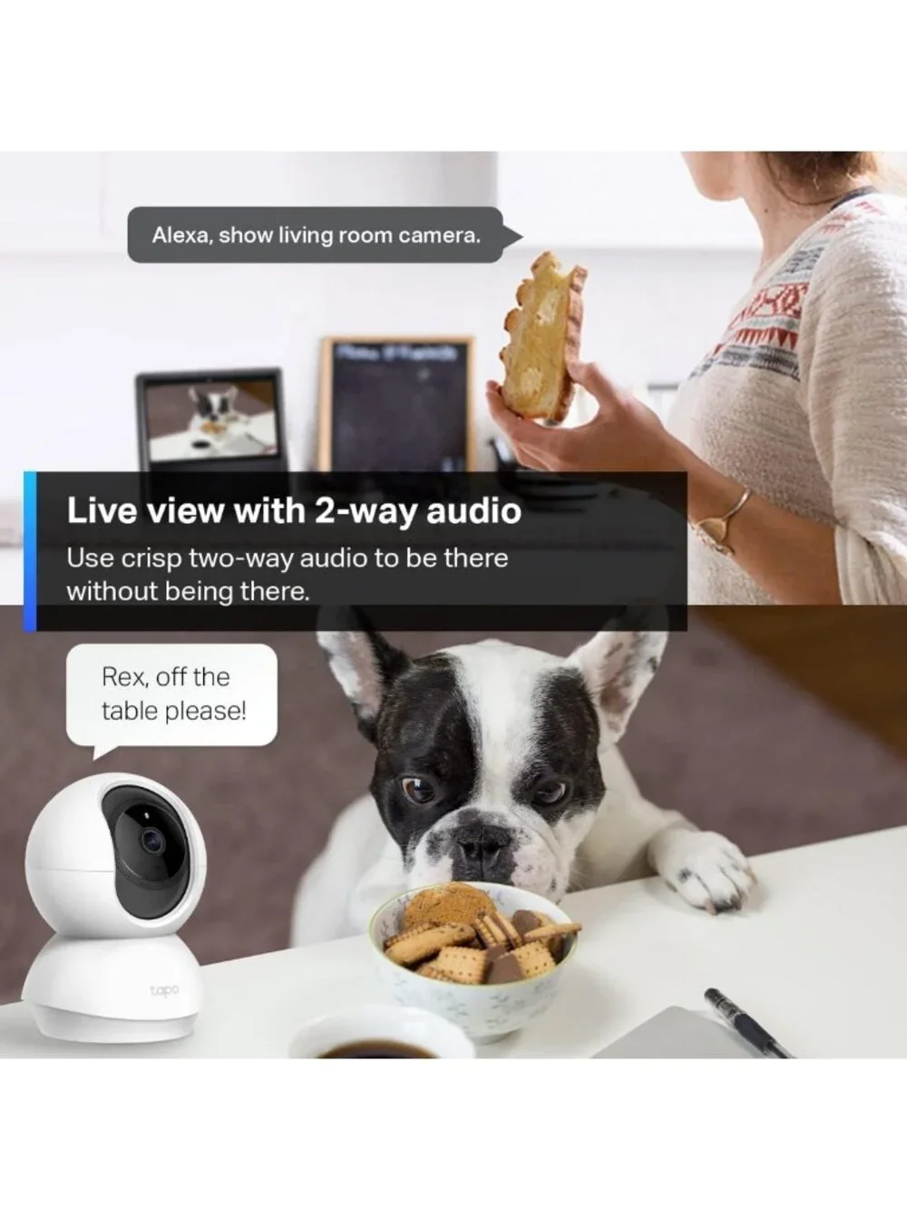 Pan/Tilt Security Camera for Baby & Pet Monitoring, 1080P, Night Vision, 2-Way